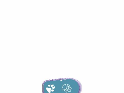 ExpressionMed Dexcom G6/One Transmitter Sticker (Pawprint)
