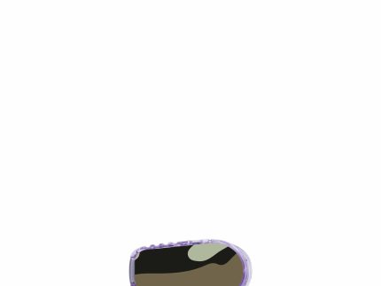 ExpressionMed Dexcom G6/One Transmitter Sticker (Camo)