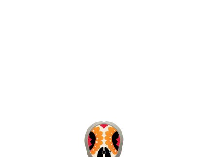 ExpressionMed Dexcom G7/Dexcom ONE+ Transmitter Sticker (Dia De Los Muertos Skull Shape)