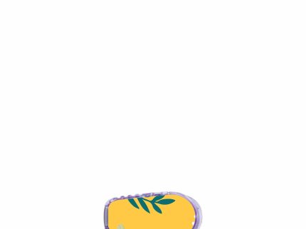 ExpressionMed Dexcom G6 Transmitter Sticker (Bees and Flowers)