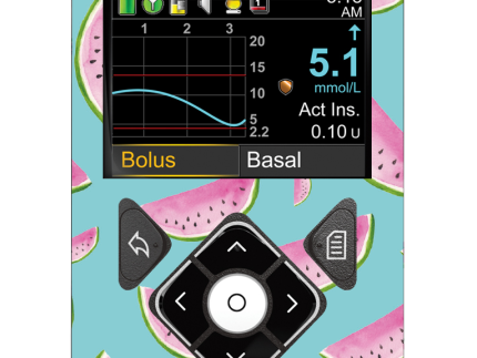 Medtronic 640/670/780G Pump Sticker (Juicy Melons)